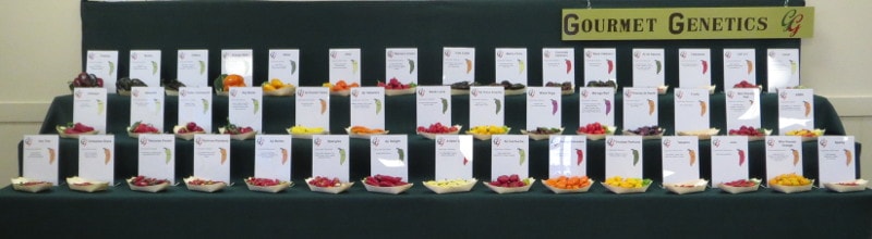 chillies