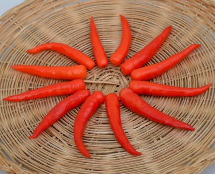Lancer chillies